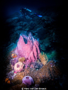 divercolors by Marc Van Den Broeck 